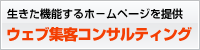 ホームページ制作・作成、ECサイト・ネットショッピングサイト制作・作成、グーグルアドワーズ・ヤフーリスティング広告出稿代理、ウェブコンサルティング、SEO対策「ウェブ集客コンサルティング」